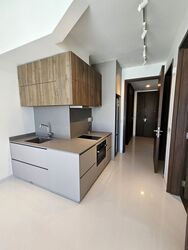 Parksuites (D10), Apartment #577586641